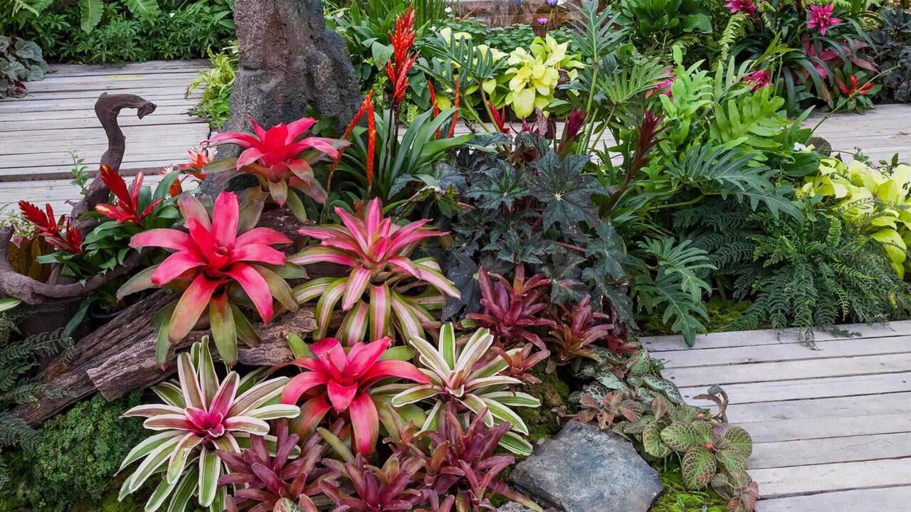Low-maintenance plants for beautiful gardens